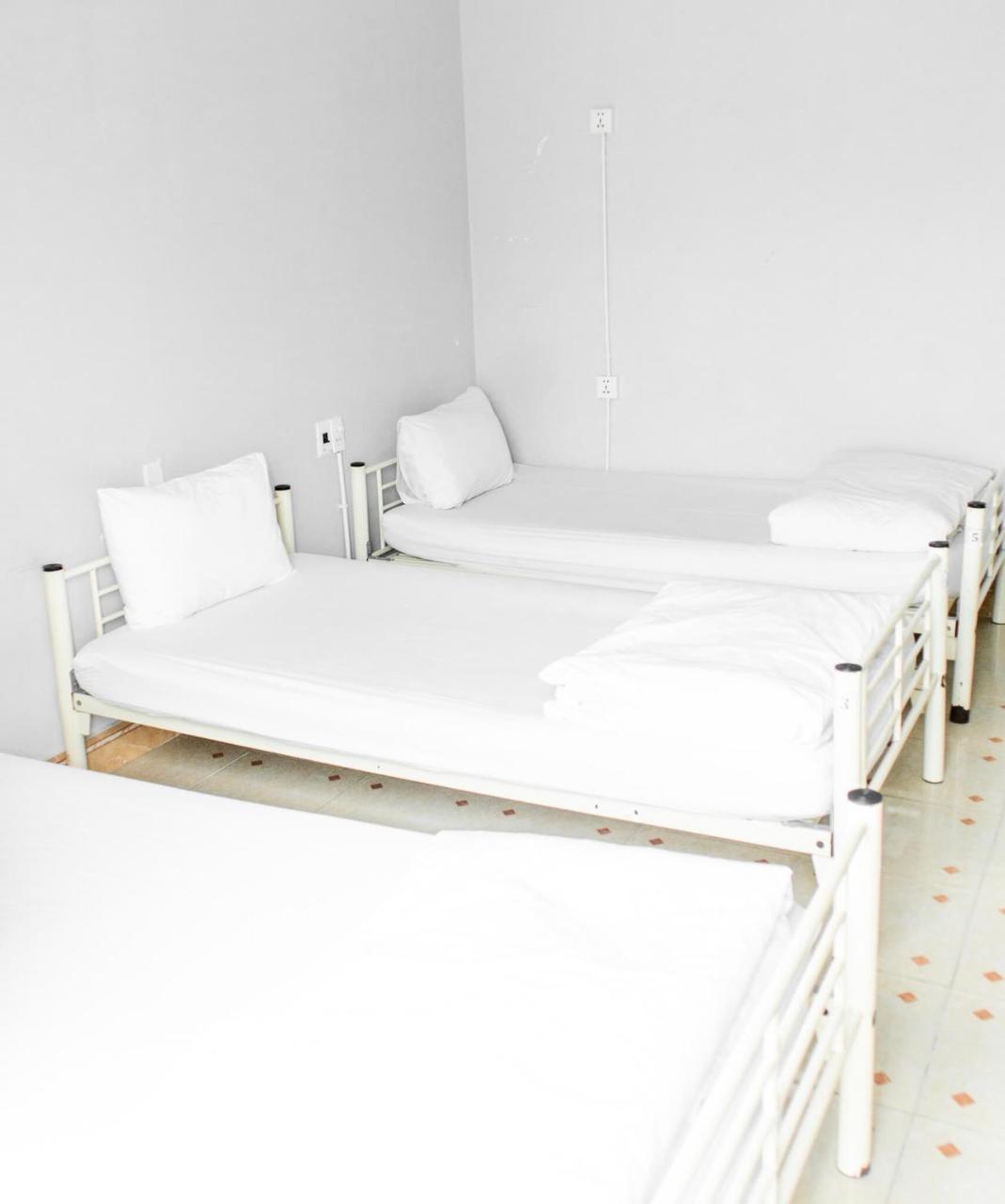 Sunflower Hostel 会安 外观 照片
